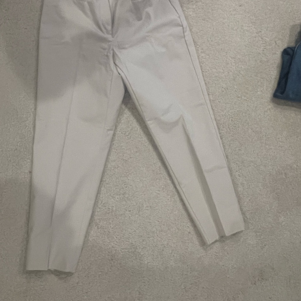 Ann Taylor Curvy Fit  Size 6 Tan Pants/Clean Crease Tailored Look
